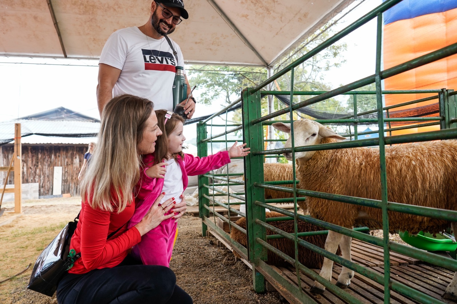 3º Taquara Campo terá exposição de animais de pequeno e médio porte