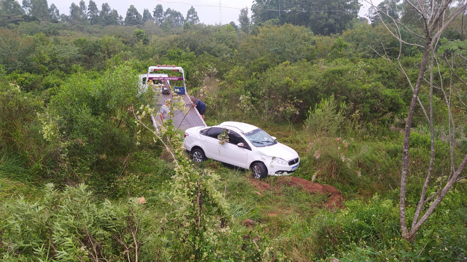 Cavalo solto na pista provoca acidente entre três veículos na ERS-239 em Taquara