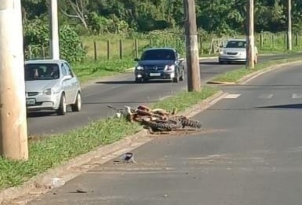 Homem morre após colidir sua motocicleta contra um poste na ERS-239 em Rolante