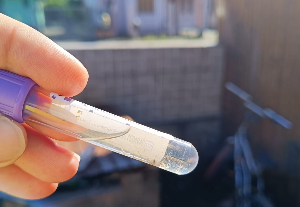 Parobé participa de pesquisa inovadora no Estado sobre combate à dengue