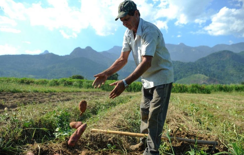Vereadores apresentam projeto para regularizar feiras de produtores em Igrejinha