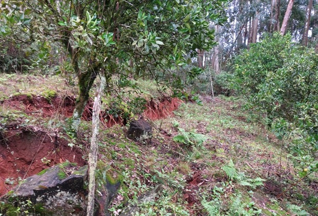 Defesa Civil de Rolante está monitorando áreas com possível risco de deslizamento