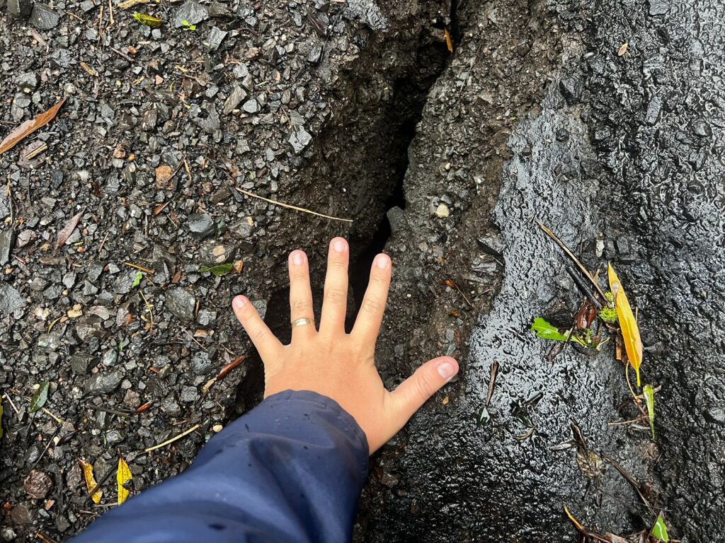 O atributo alt desta imagem está vazio. O nome do arquivo é WhatsApp-Image-2024-05-01-at-11.28.32-1024x768.jpeg