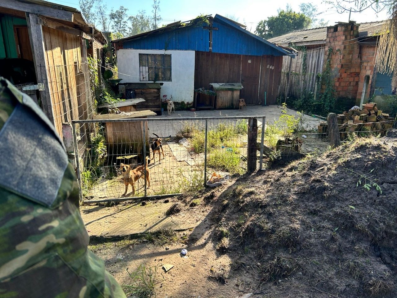 3º Grupamento da Polícia Militar Ambiental verifica denúncia de maus-tratos em Parobé