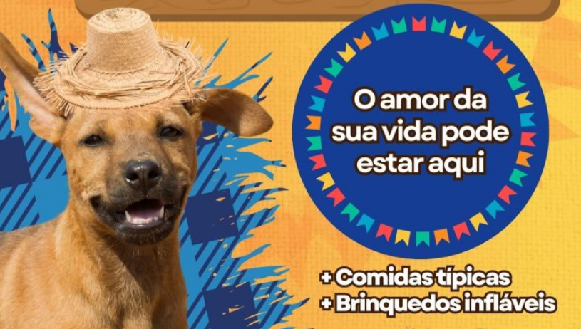 Parobé promove Arraiáuu da Adoção em busca de lares para cães