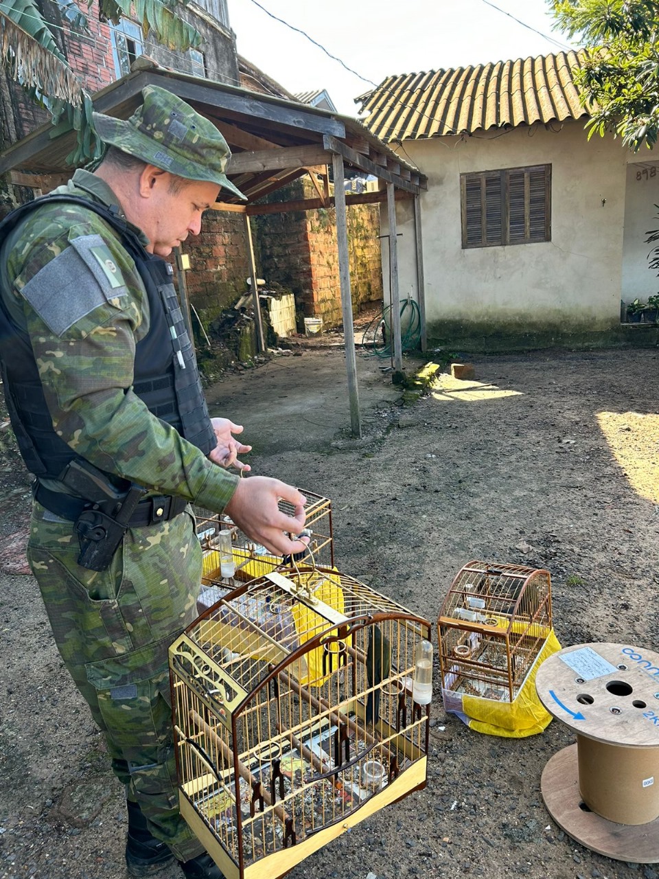 Polícia ambiental flagra cativeiro de aves em Taquara