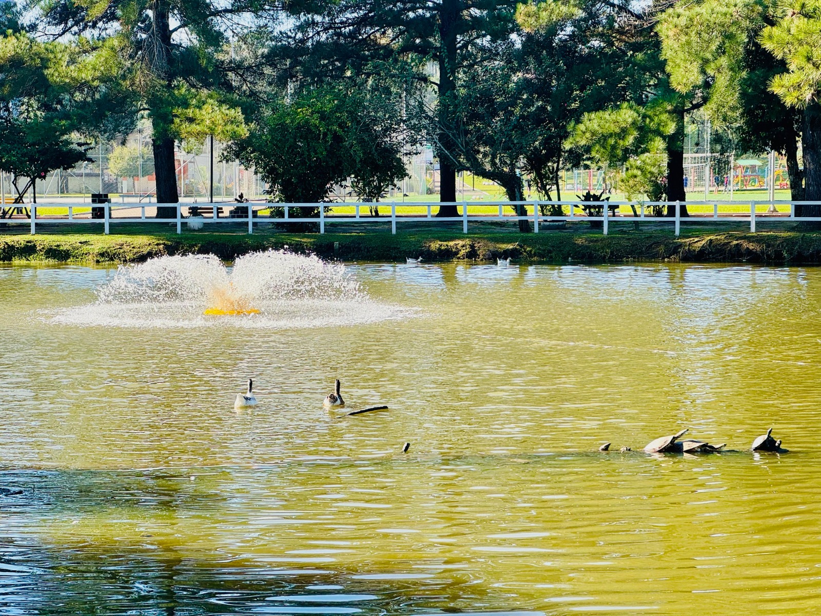 Aeradores chafariz são instalados no lago do Parque do Trabalhador em Taquara