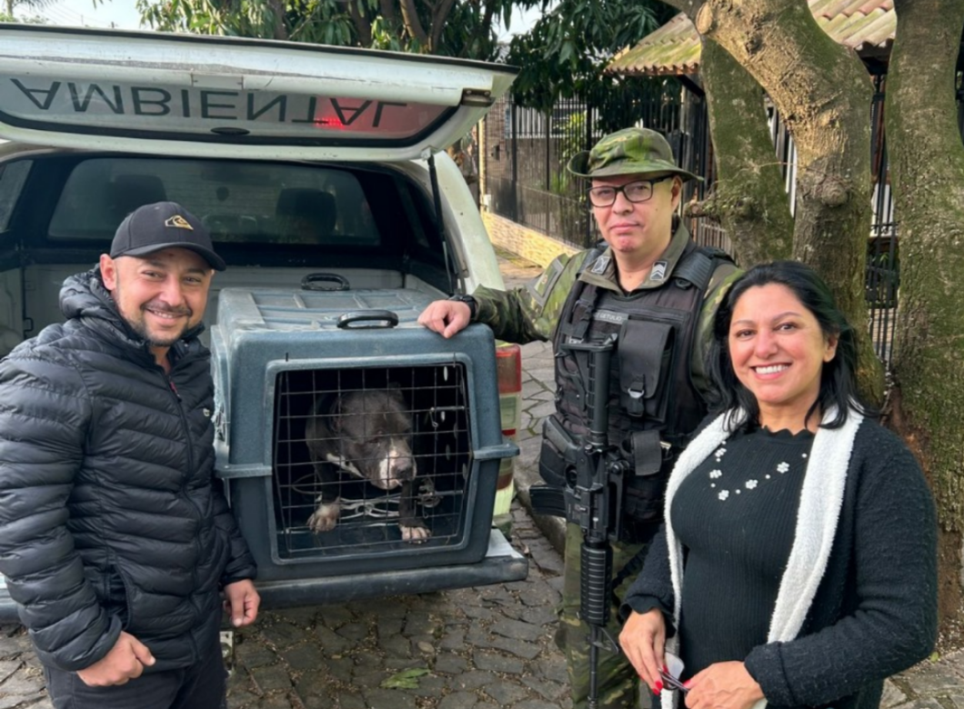 Polícia Ambiental de Taquara entrega cachorro a morador de Parobé para tratamento e adoção