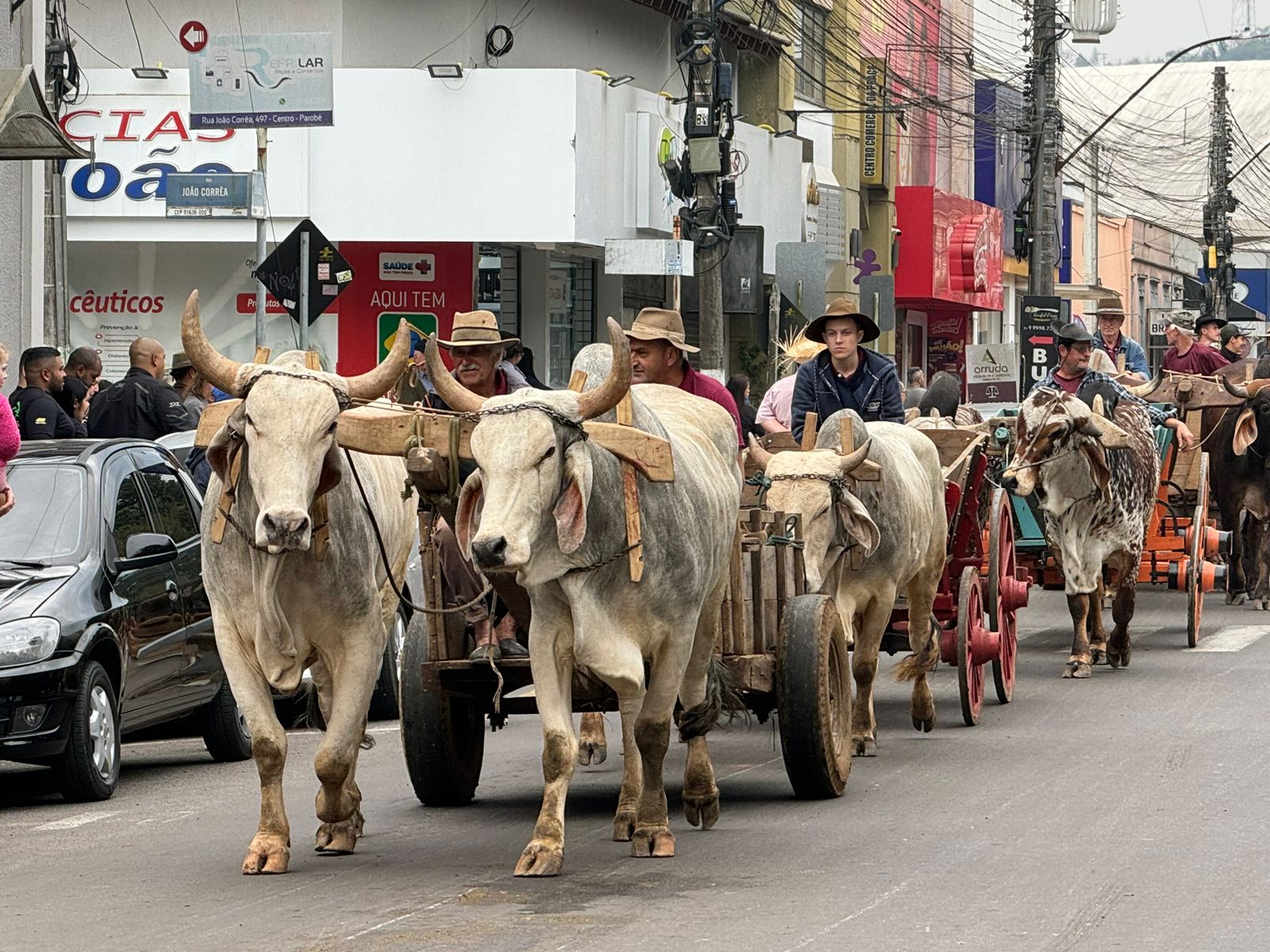 Festa do Colono e do Carro de Boi reúne bom público e envolve a comunidade em Parobé