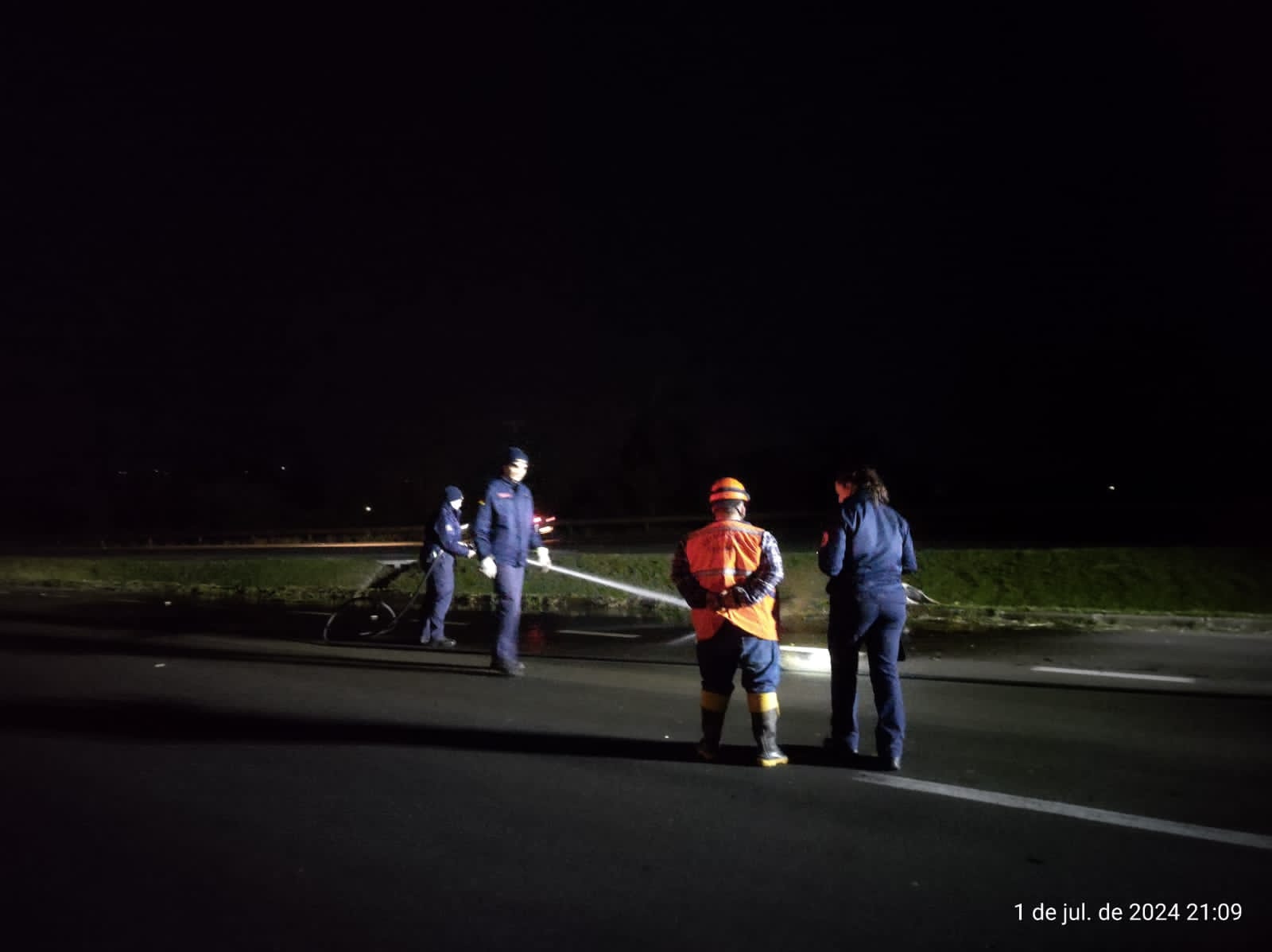 Cavalo solto na ERS-239 morre após ser atingido por veículo em Taquara