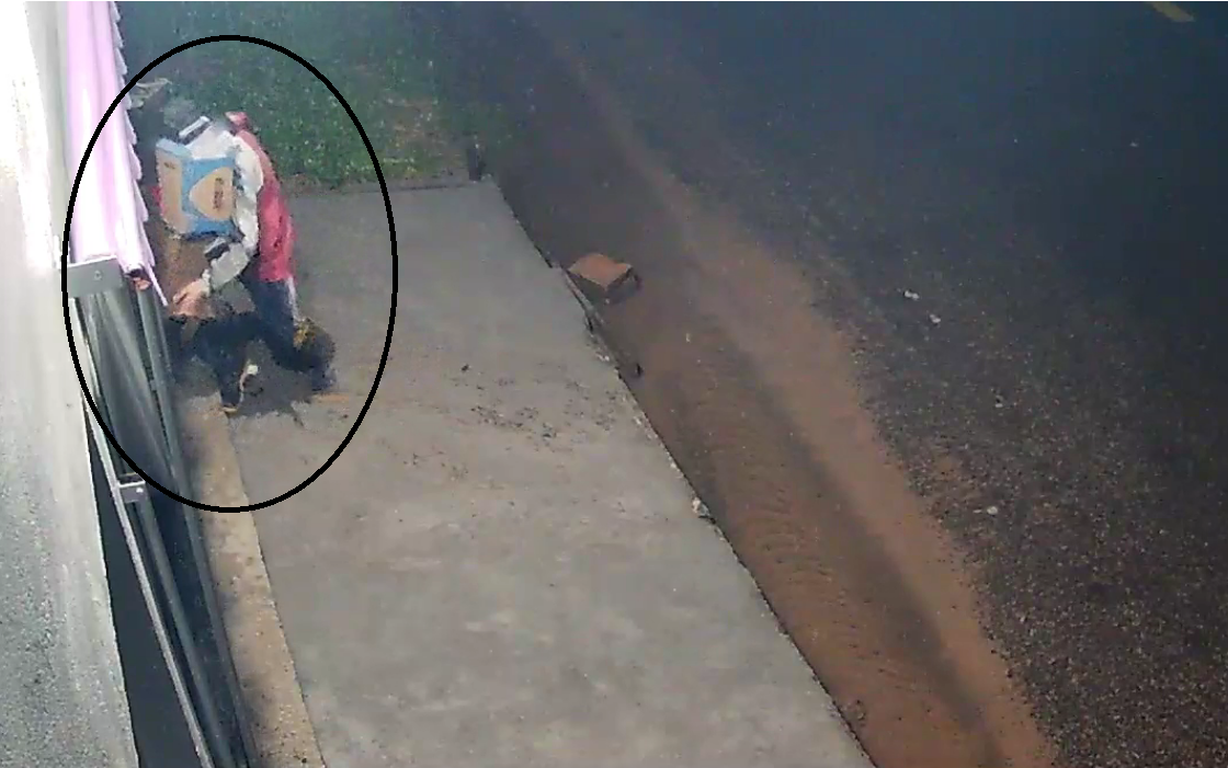 Polícia Civil prende indivíduo investigado por diversos furtos em Parobé