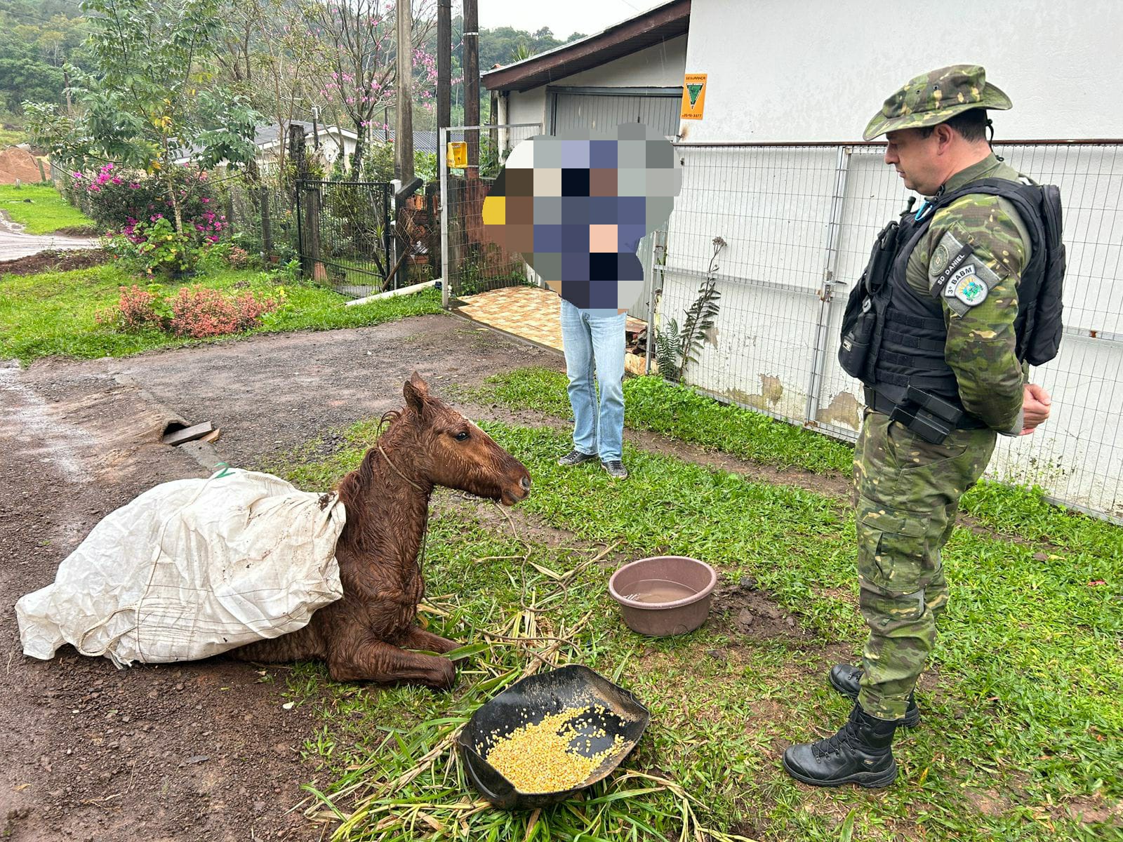Patram atende ocorrência de maus-tratos a cavalo bastante debilitado em Parobé