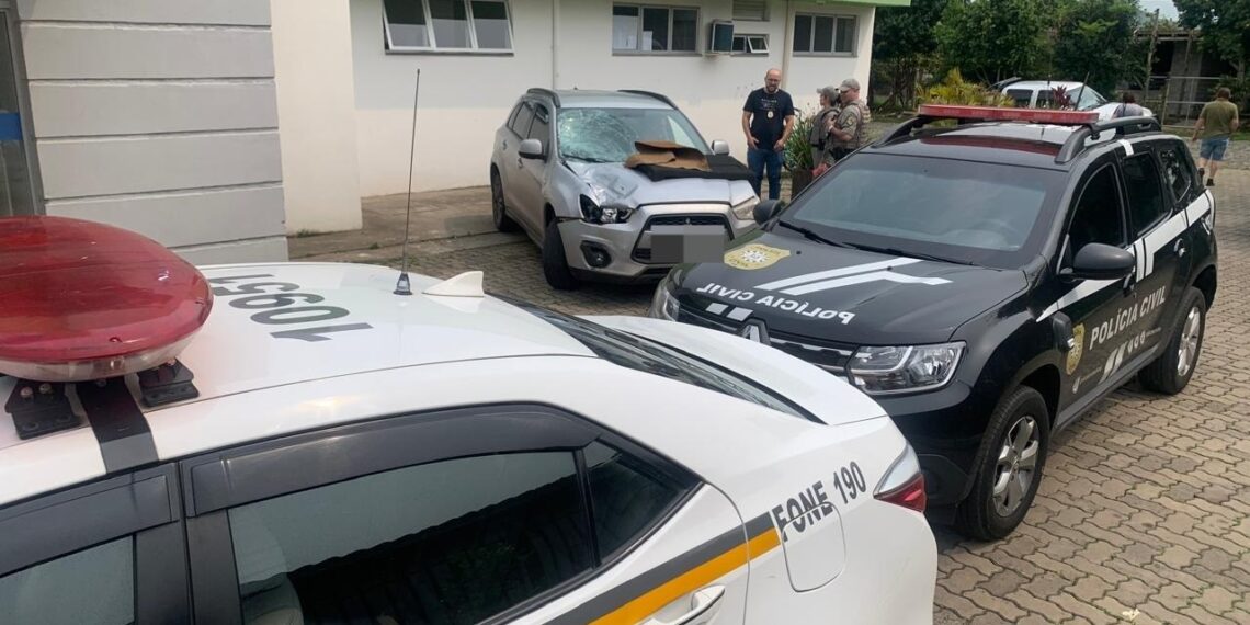 Médico acusado de atropelamento com morte na 239 é solto após audiência de custódia