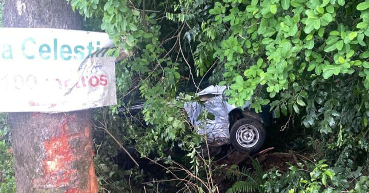 Dois jovens morrem em acidente na ERS-115 em Três Coroas