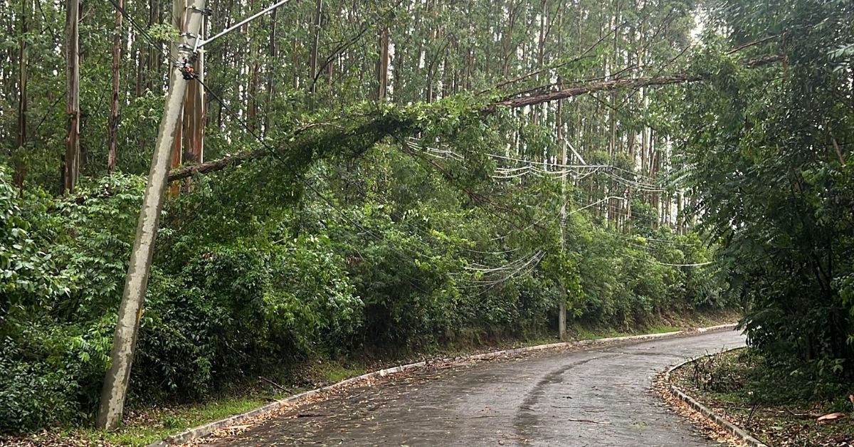 Ventos alcançam mais de 130 km/h na região e provocam destelhamentos e queda de árvores