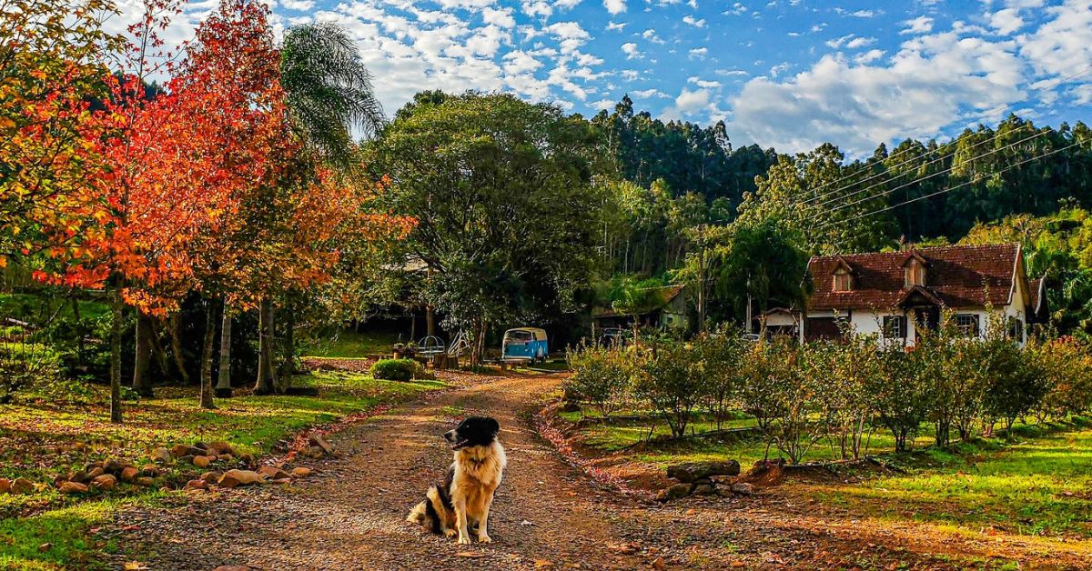 Veja as fotos vencedoras do 12º Concurso Fotográfico Um Olhar sobre Rolante