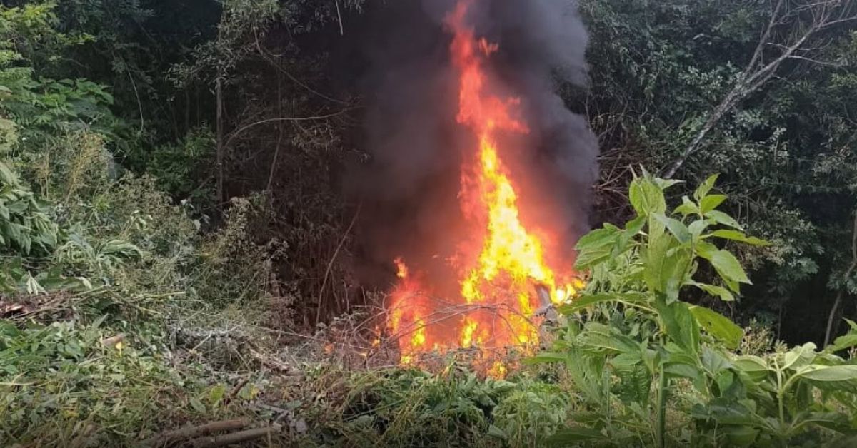 Acidente na ERS-020 resulta em vítima fatal e carro incendiado