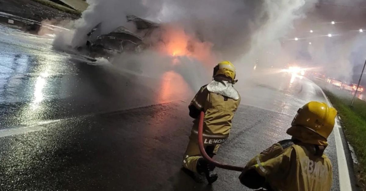 Carro colide com cavalo e pega fogo na ERS-239, em Parobé