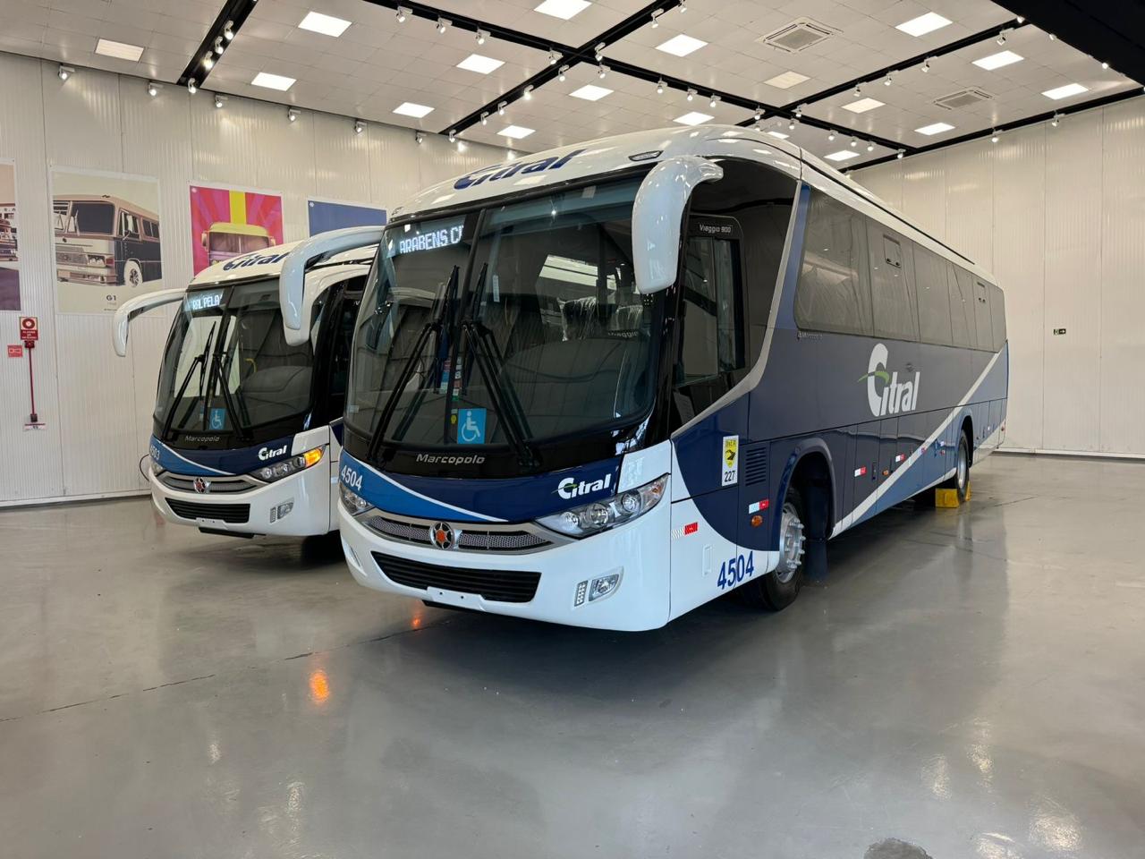 Citral adquire seis novos ônibus para sua frota