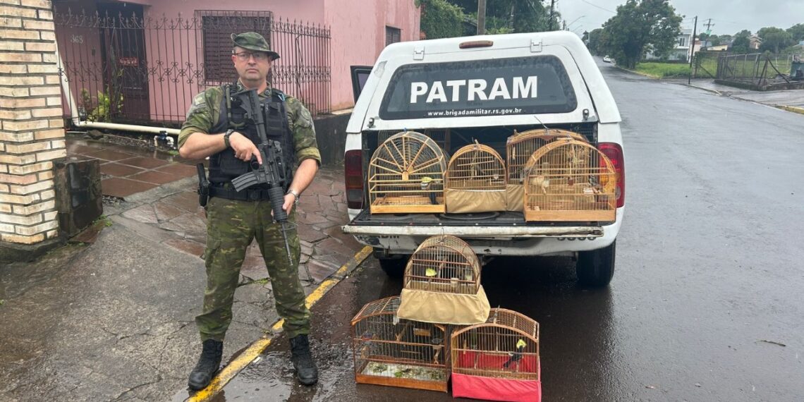 Polícia Ambiental de Taquara flagra crime contra a fauna