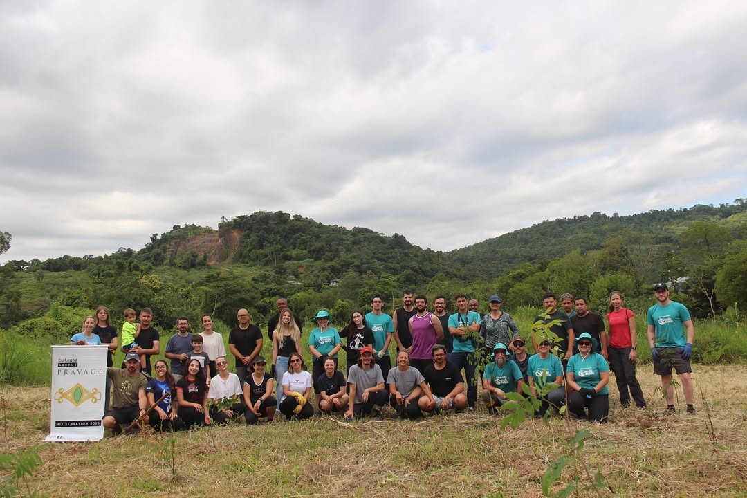 Mutirão de plantio do Reflora Paranhanha reúne voluntários e fortalece ações ambientais em Três Coroas