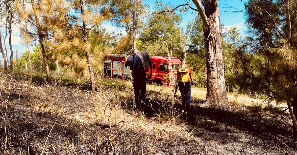 Incêndio em vegetação atinge dois hectares em Rio da Ilha