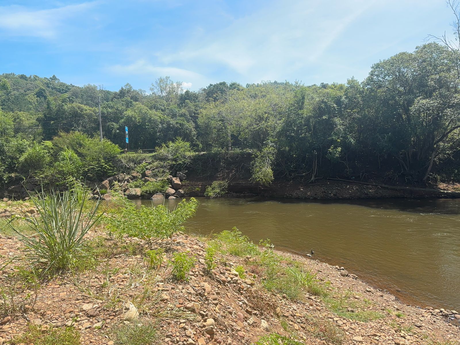 Onda de calor provoca temperaturas elevadas no Vale do Paranhana