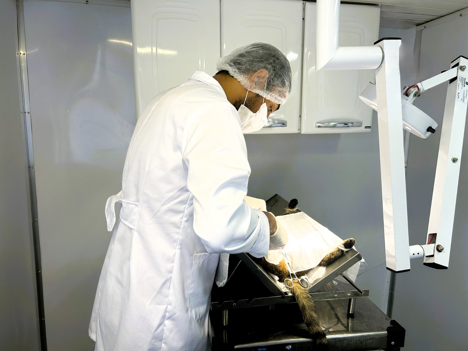 Secretaria de Meio Ambiente de Taquara projeta realizar 500 castrações em 2025