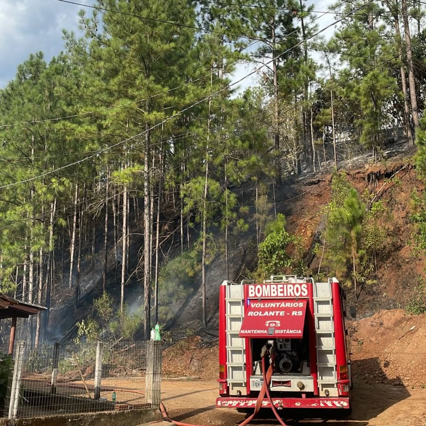Incêndio florestal volta a atingir área em Rolante