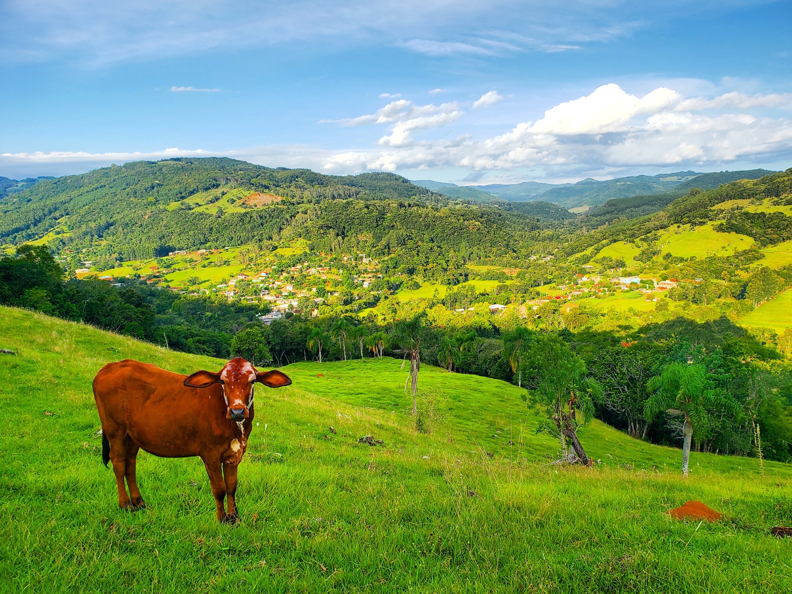 "Taquara: olhe para nossa terra" é o tema do concurso fotográfico organizado pela administração municipal