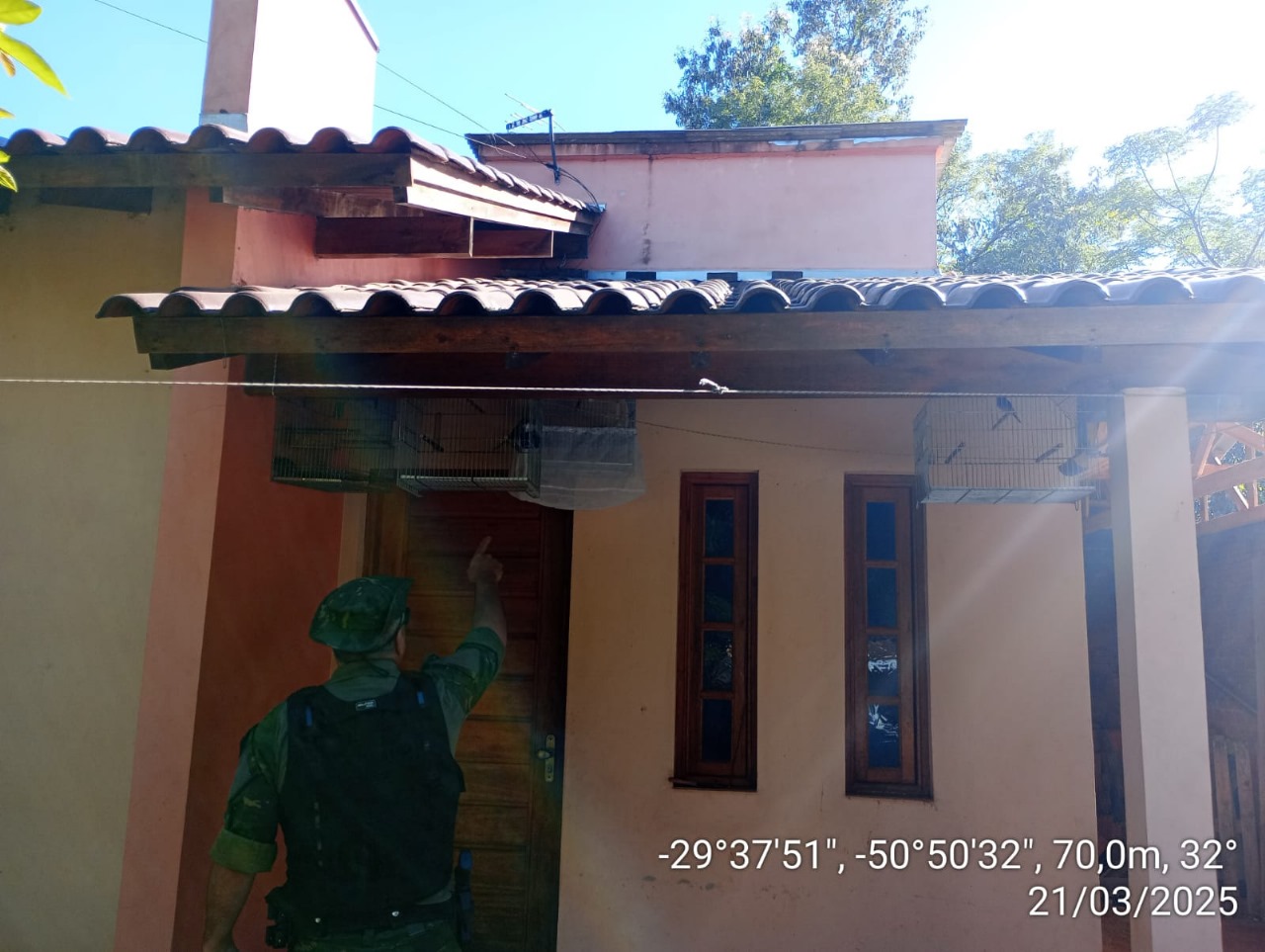 Polícia Ambiental de Taquara flagra cativeiro de aves silvestres