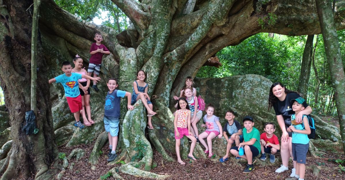 Parobé, 43 anos: conheça a árvore tricentenária que atrai alunos e amantes da natureza