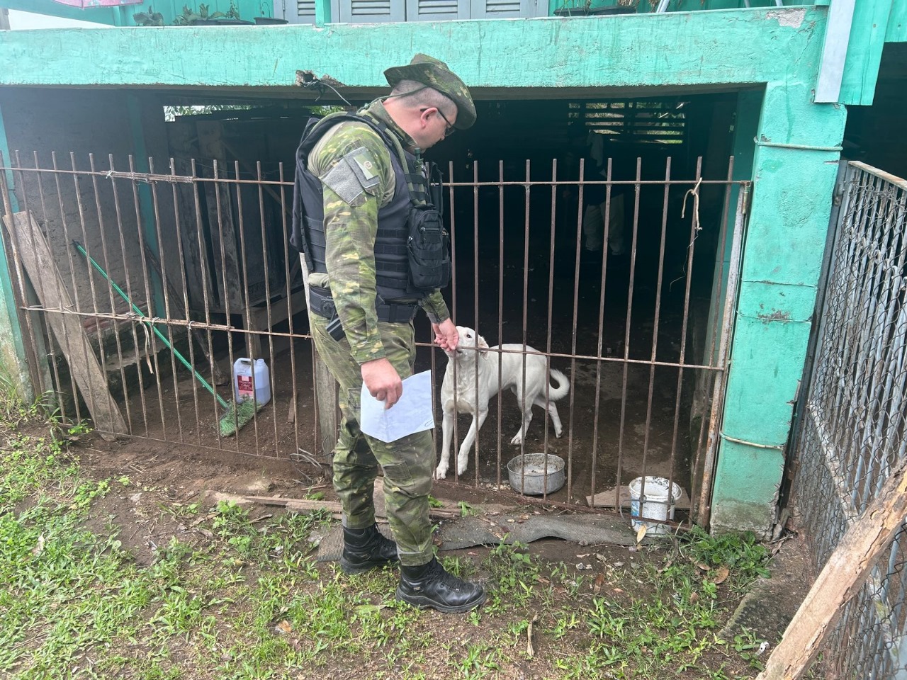 Patram averigua denúncia de maus-tratos a animal