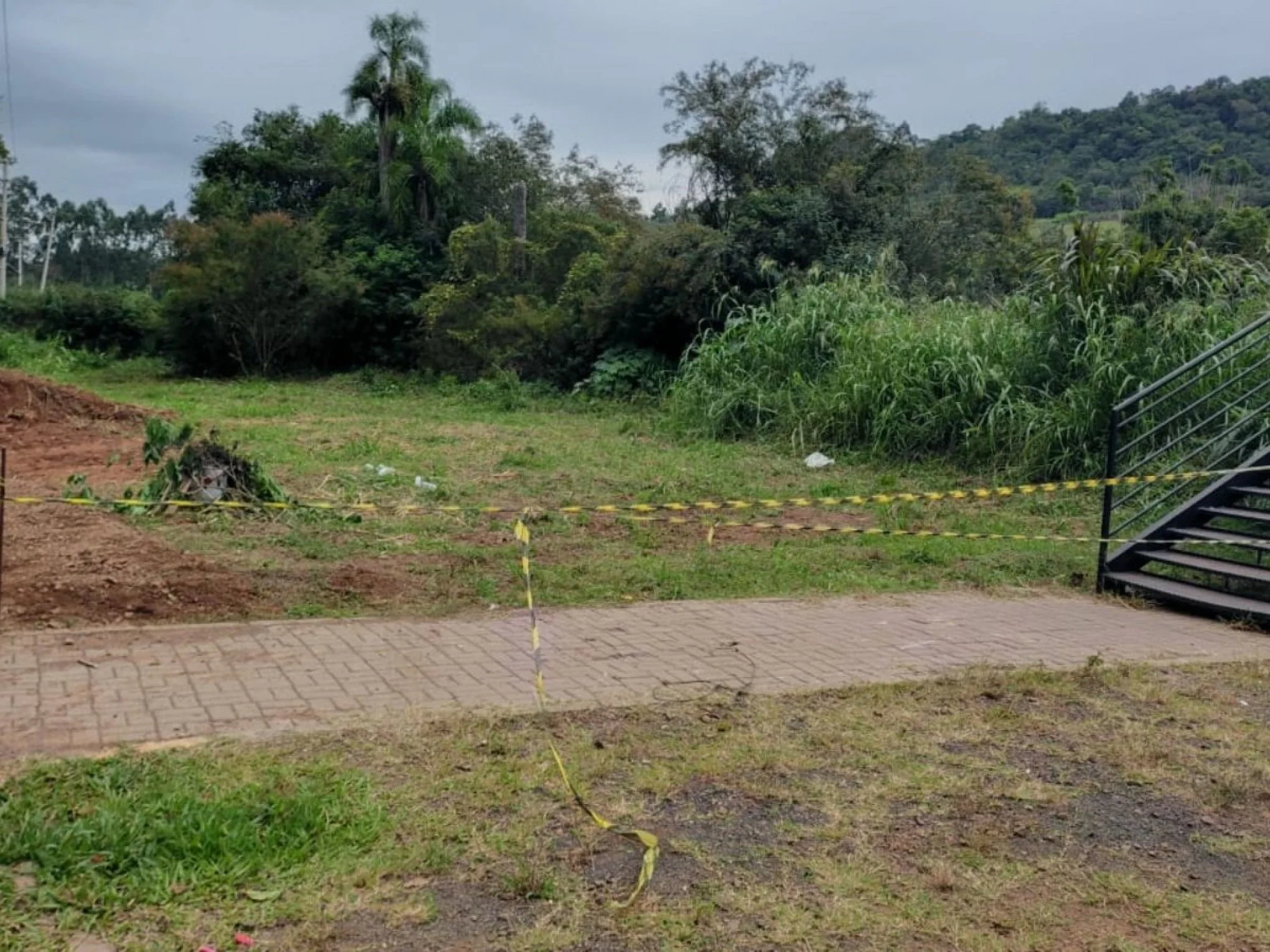 Jovem de Igrejinha é atacado por abelhas e fica gravemente ferido em Ivoti