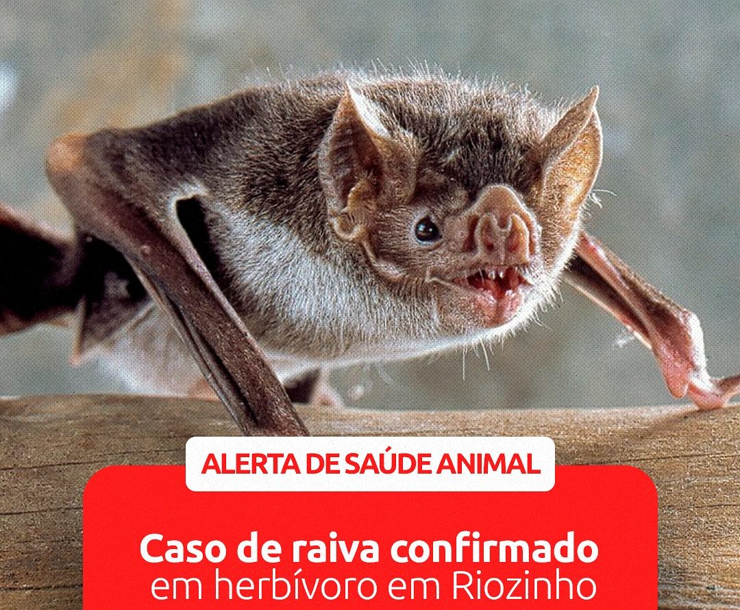 Prefeituras de Riozinho e Rolante alertam sobre caso de Raiva em animais herbívoros