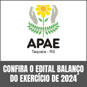 Balanço Apae | Exercício 2024
