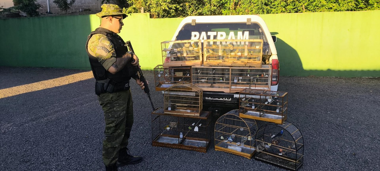 Brigada Militar flagra cativeiro irregular de aves silvestres em Parobé