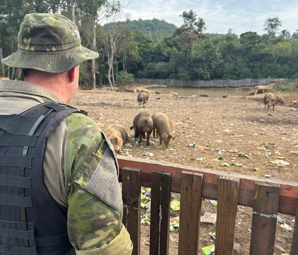 Patram notifica criador de porcos devido a poluição em Parobé