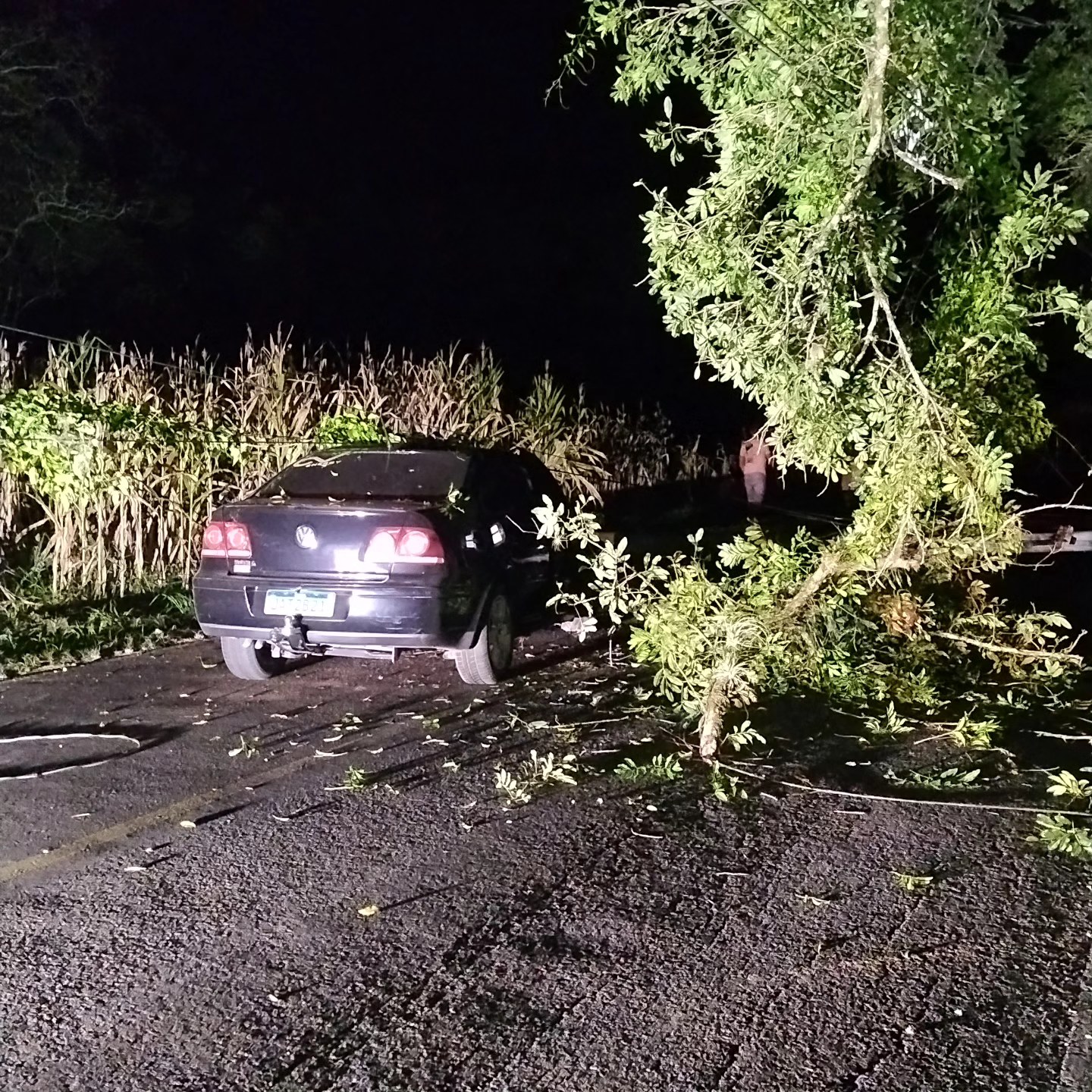 Colisão entre carro e poste bloqueia via em Rolante