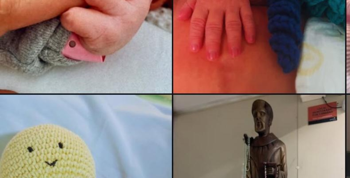 Colaboradores do Hospital de Parobé revelam talento artístico em concurso fotográfico