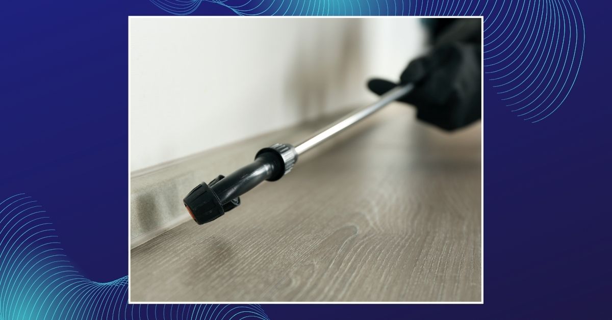 Três Coroas intensifica medidas contra presença de roedores na EMEI Bem-Me-Quer