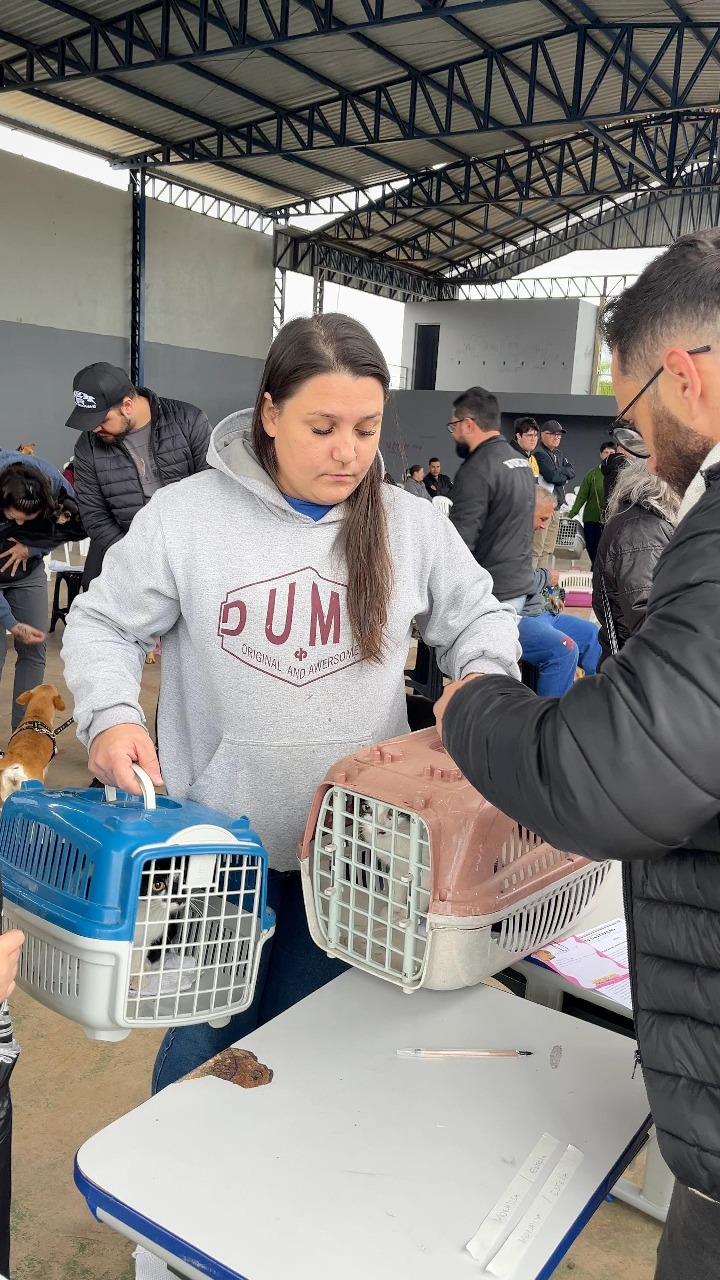 Mutirão de Castrações beneficia centenas de animais em Parobé
