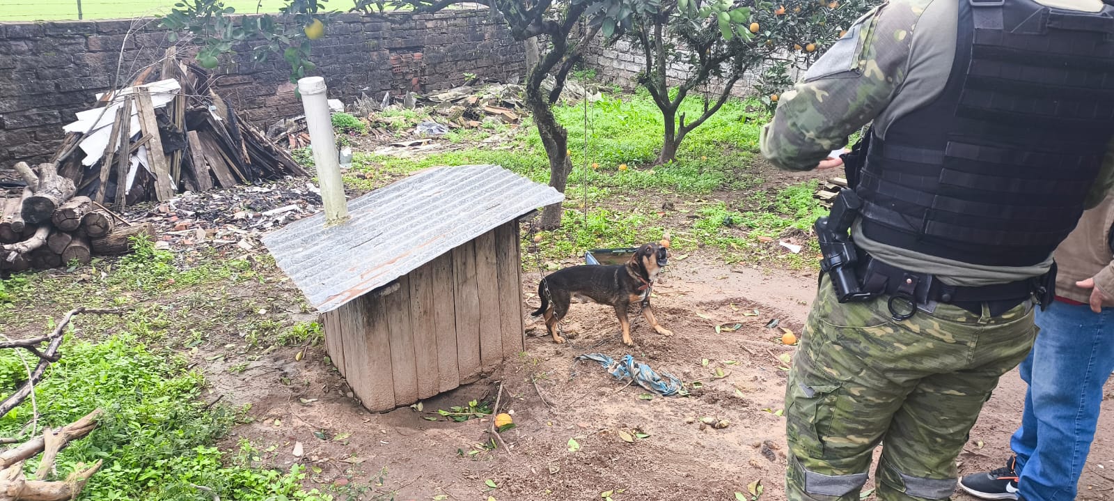 Brigada Militar e Secretaria de Meio Ambiente fiscalizam denúncias de maus-tratos em Parobé
