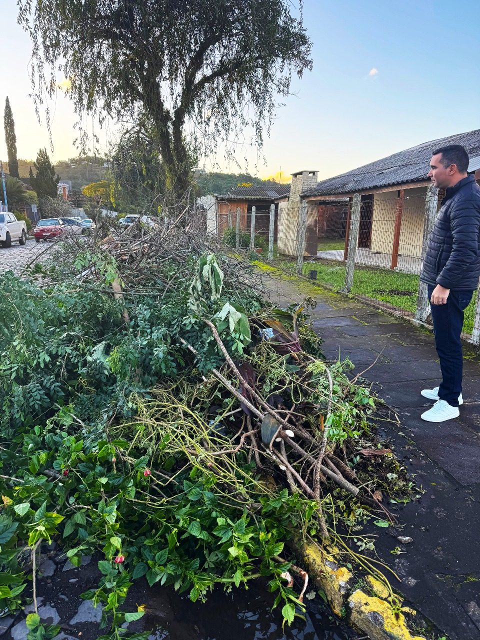 Prefeitura de Parobé divulga novo calendário de recolhimento de galhos e podas