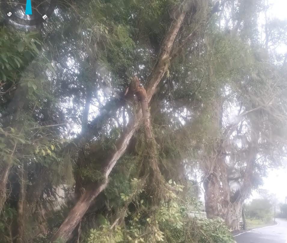 Rajadas de vento e chuva provocam ocorrências pontuais em Taquara