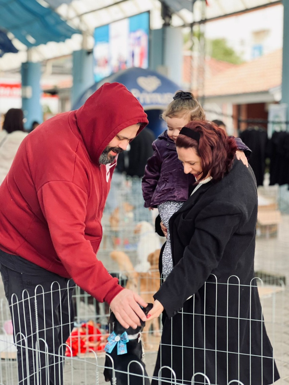 Parobé teve Feira de Adoção Especial Dia dos Pais e 13 cães encontram novos lares
