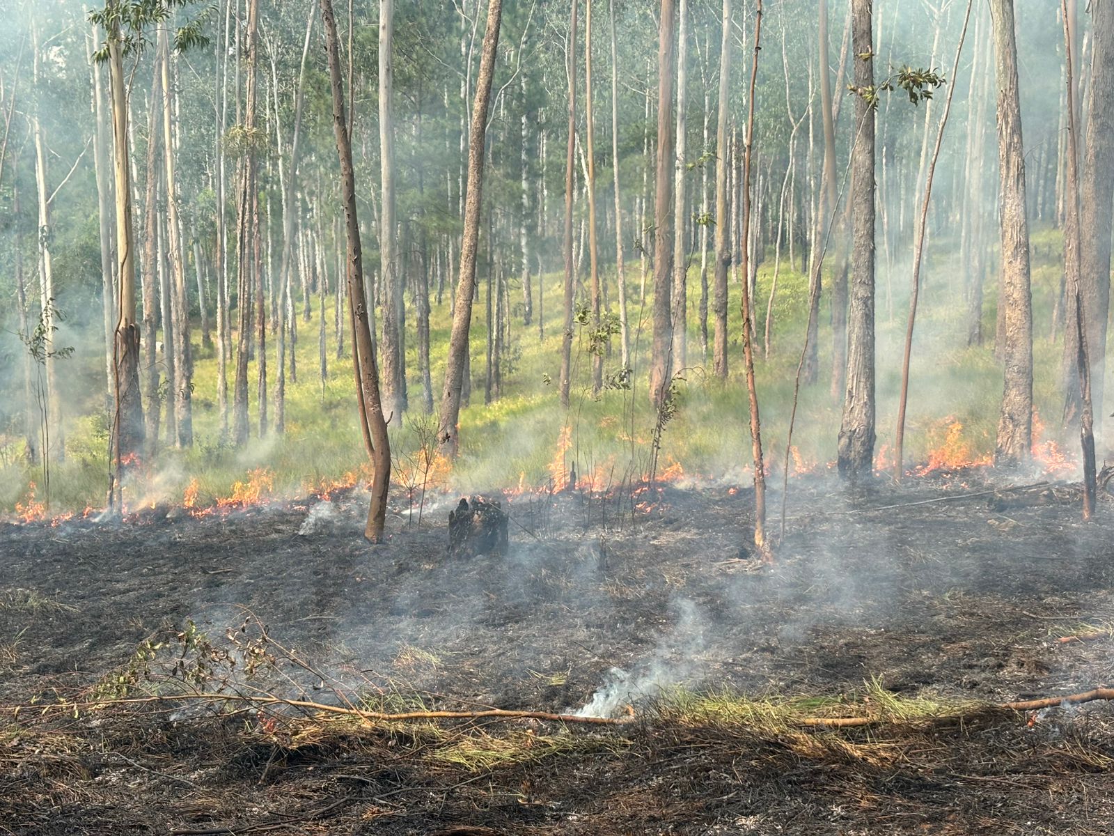 Bombeiros controlam incêndio no bairro Eldorado e são acionados para novo foco no interior de Taquara
