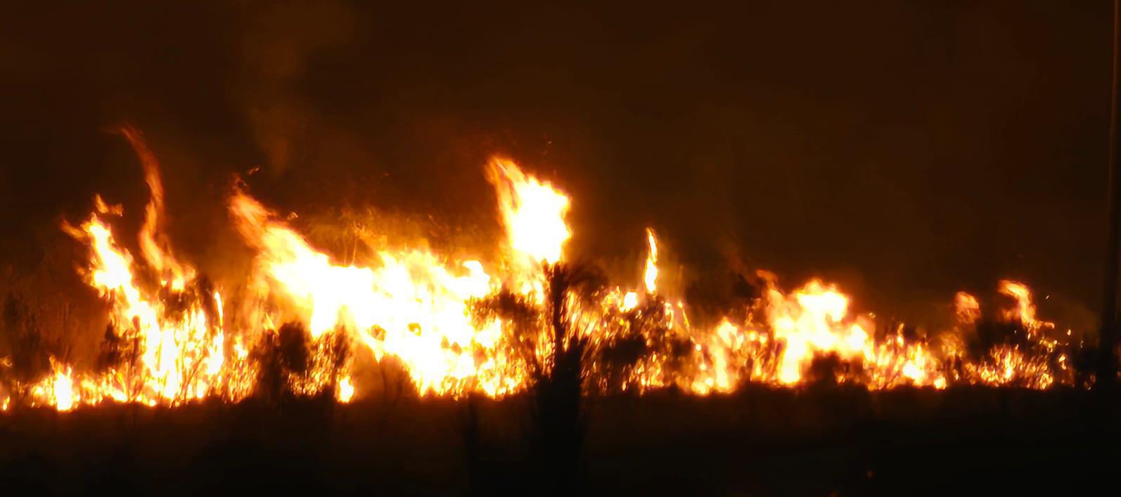 Incêndio atinge área de mata no bairro Eldorado em Taquara