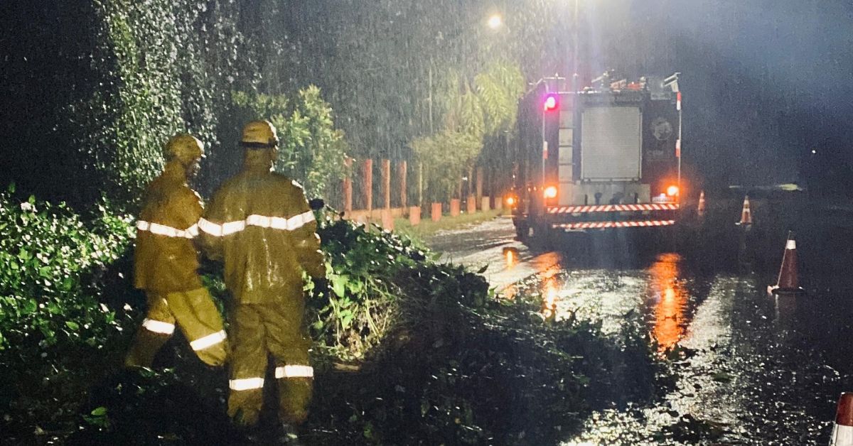 Chuva causa quedas de árvores durante a madrugada em Taquara