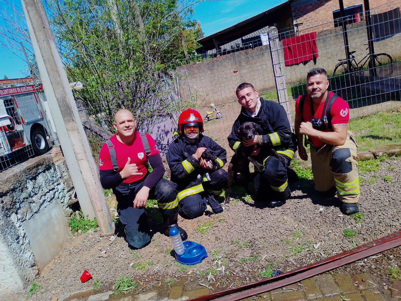 Bombeiros salvam dois cachorros presos em casa incendiada